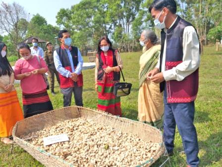 Eastern Sentinel Arunachal News