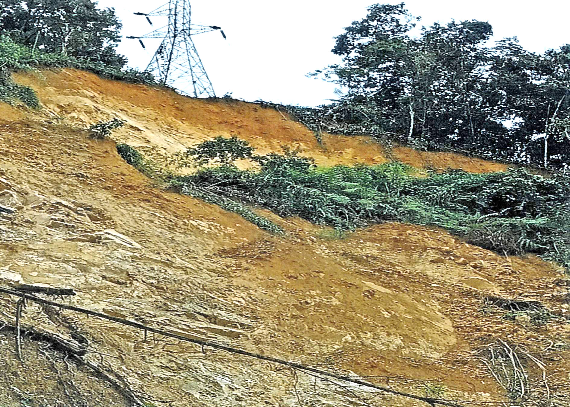 Eastern Sentinel Arunachal News