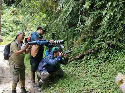 Eastern Sentinel Arunachal News