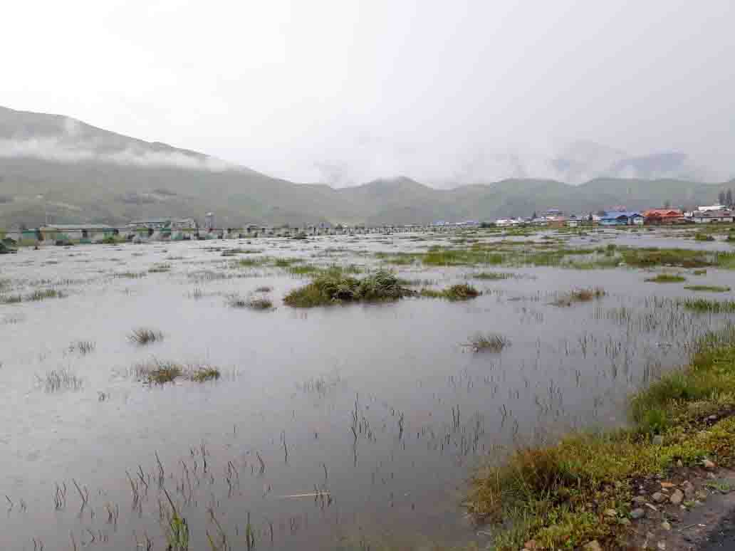 Eastern Sentinel Arunachal News