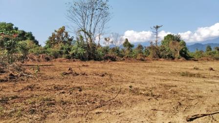 Eastern Sentinel Arunachal News