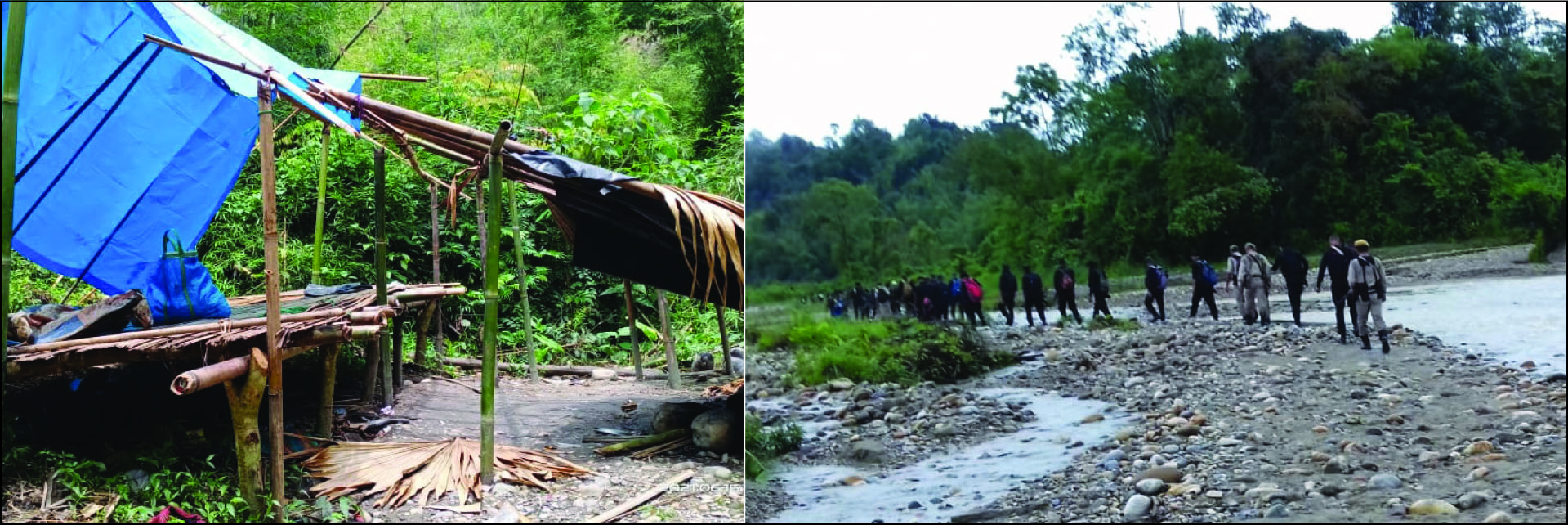 Eastern Sentinel Arunachal News