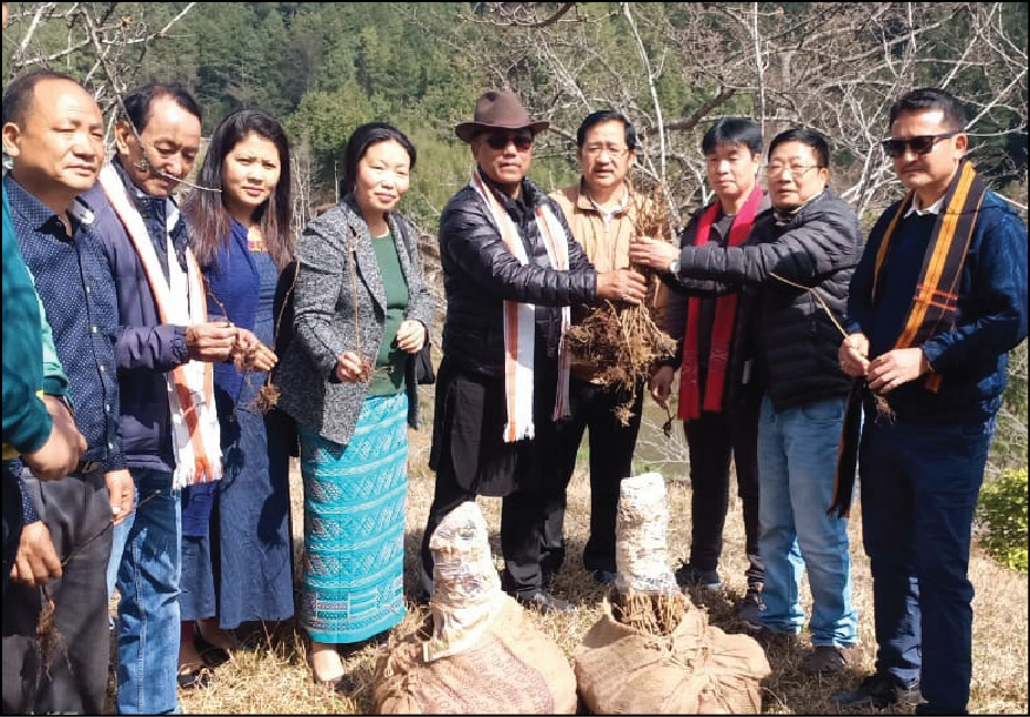 Eastern Sentinel Arunachal News