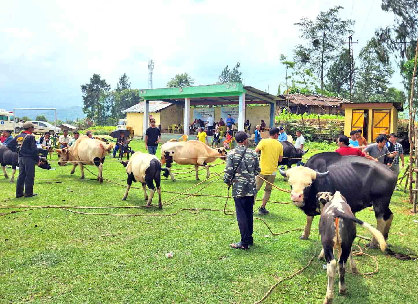 Eastern Sentinel Arunachal News