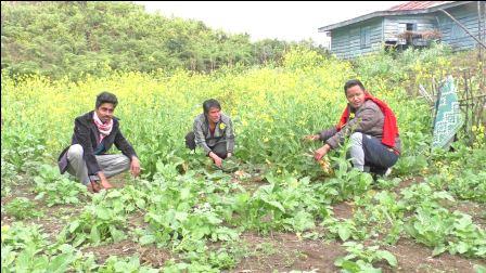 Eastern Sentinel Arunachal News