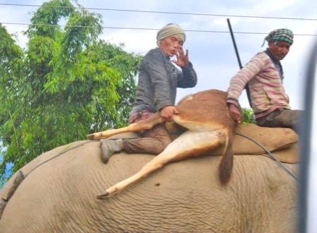 Eastern Sentinel Arunachal News