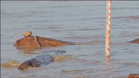 Eastern Sentinel Arunachal News