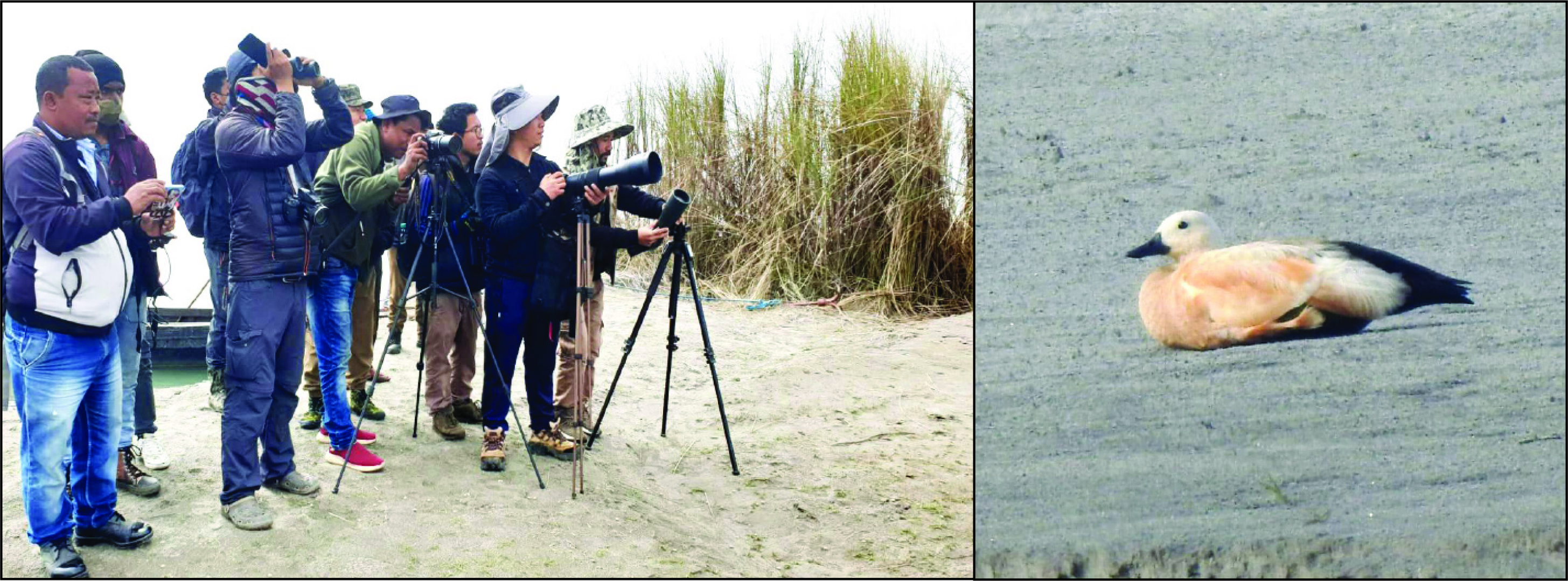 Eastern Sentinel Arunachal News