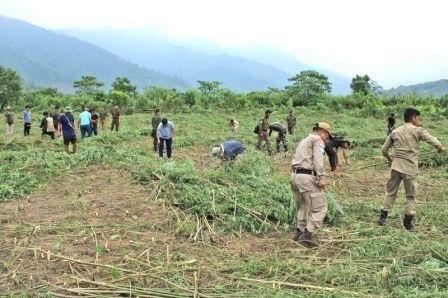 Eastern Sentinel Arunachal News